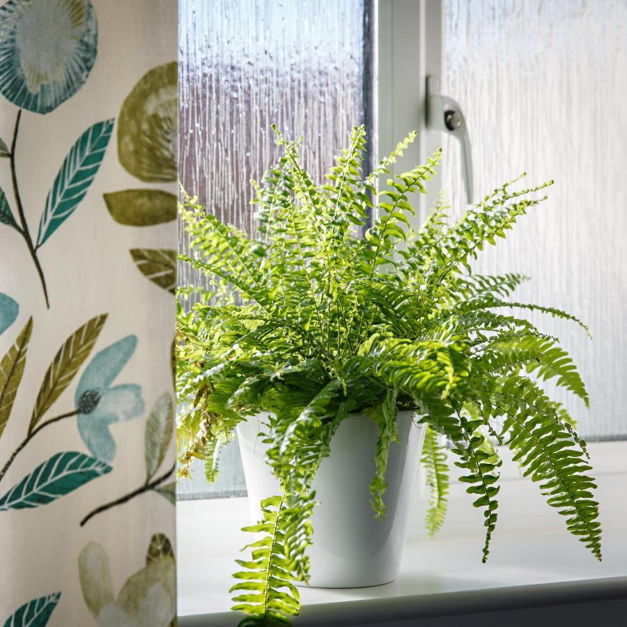 Chestnut Cottage Felbrigg Εξωτερικό φωτογραφία